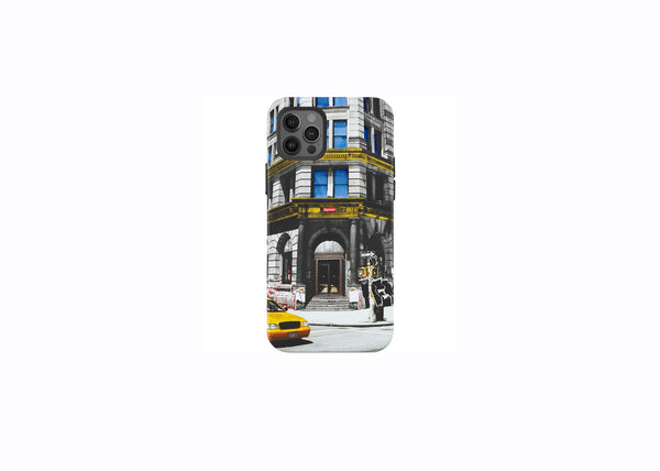 multicolor bowery phone case